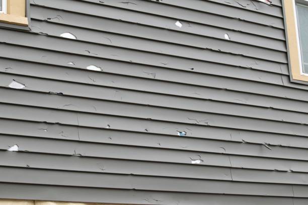 Best Siding Painting and Refinishing  in Barstow, CA